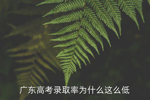 廣東2018年高考考生有多少,廣東高考錄取率為什么這么低