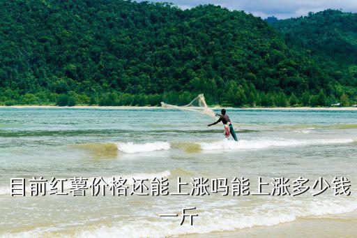 湛江紅心地瓜多少錢一斤,市場一斤紅薯一塊多一斤