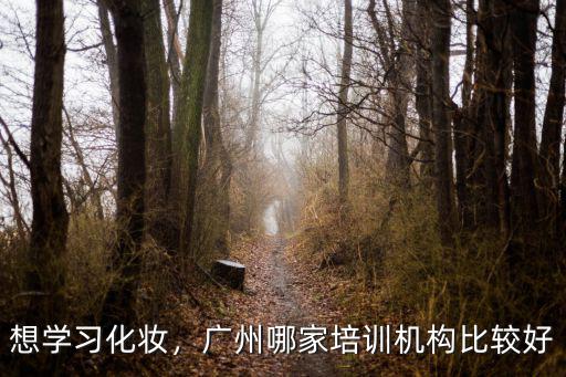 廣州哪里有學化妝學校,廣州哪家培訓機構比較好