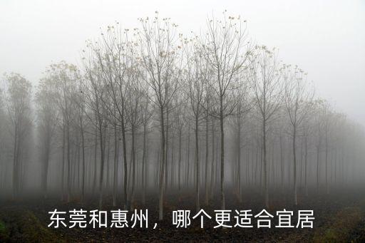 東莞和惠州，哪個更適合宜居
