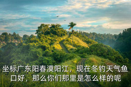 廣東陽(yáng)春哪里好宜居,廣東湛江和陽(yáng)江哪里定居好呢