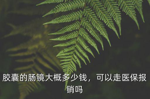 廣東無(wú)痛腸鏡報(bào)銷多少錢,做腸鏡要花多少錢