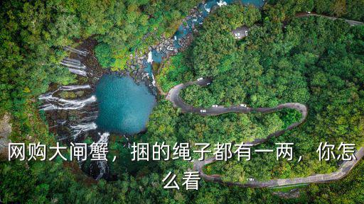 網購大閘蟹，捆的繩子都有一兩，你怎么看