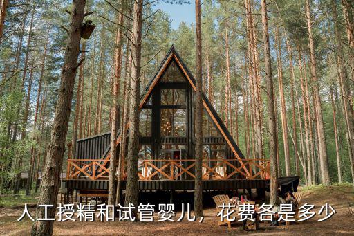 人工授精和試管嬰兒，花費(fèi)各是多少