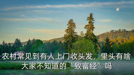 江門哪里有收頭發(fā)的,農(nóng)村常見到有人上門收頭發(fā)