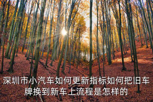 深圳怎么申請指標更新,在深圳換車更新指標