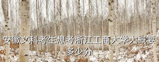 安徽文科考生想考浙江工商大學大概要多少分