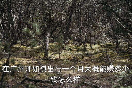 在廣州開如祺出行一個(gè)月大概能賺多少錢怎么樣