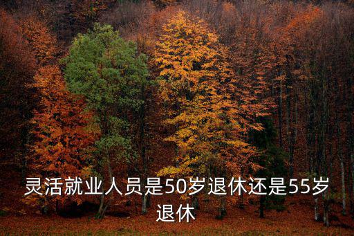 浙江靈活就業(yè)人員多少歲退休金,靈活就業(yè)人員60周歲退休