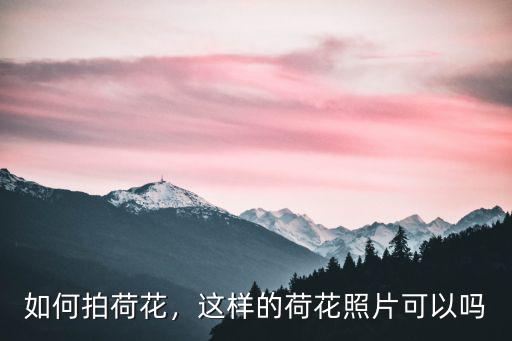 廣州哪里的荷花可以近距離拍攝,拍攝荷花有哪些不錯的角度