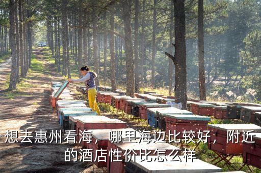 想去惠州看海，哪里海邊比較好，附近的酒店性?xún)r(jià)比怎么樣