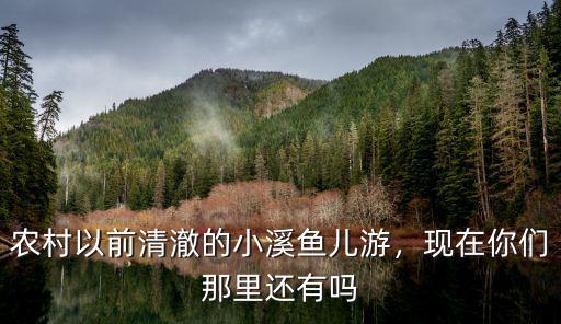 農(nóng)村以前清澈的小溪魚兒游，現(xiàn)在你們那里還有嗎