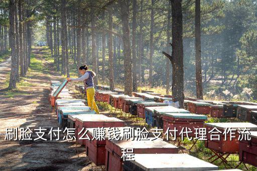 潮州刷臉支付一個(gè)月能賺多少錢,刷臉支付項(xiàng)目終究怎樣
