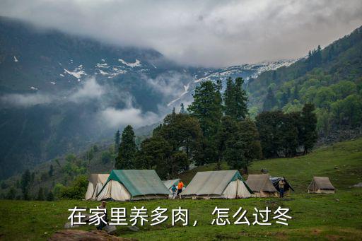 廣東露養(yǎng)多肉怎么過冬,露養(yǎng)多肉過冬需要注意什么