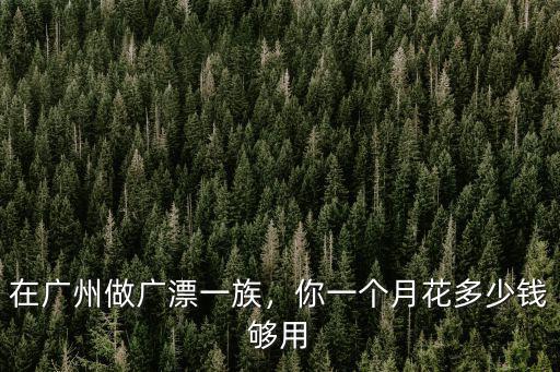 廣州車流量多少錢一個(gè)月多少錢,一個(gè)月能賺多少錢