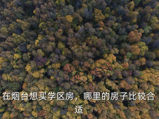 在煙臺(tái)想買學(xué)區(qū)房，哪里的房子比較合適