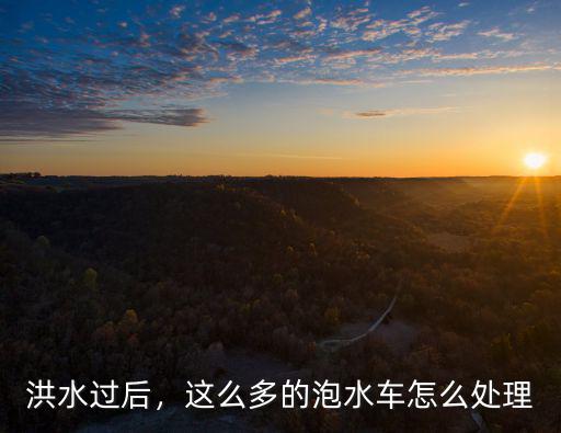 洪水過后，這么多的泡水車怎么處理