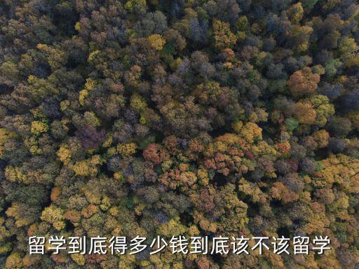 留學到底得多少錢到底該不該留學