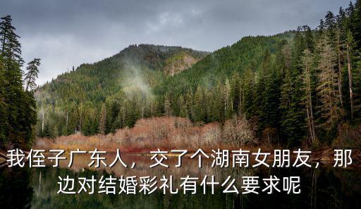 我侄子廣東人，交了個湖南女朋友，那邊對結婚彩禮有什么要求呢