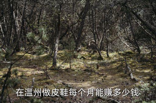在溫州做皮鞋每個月能賺多少錢