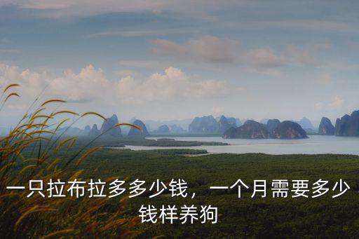 一只拉布拉多多少錢，一個(gè)月需要多少錢樣養(yǎng)狗