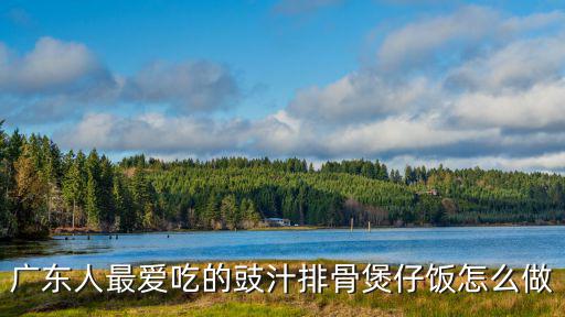 東莞蒸排飯怎么做,廣東煲仔飯怎么做