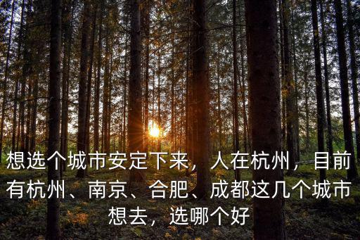 杭州搖號現(xiàn)階段多少人,杭州7月31日階梯搖號