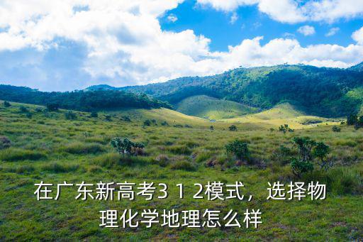 廣東新高考選科物政生怎么樣,在廣東新高考3 1 2模式
