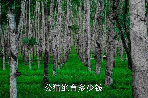 公貓絕育多少錢