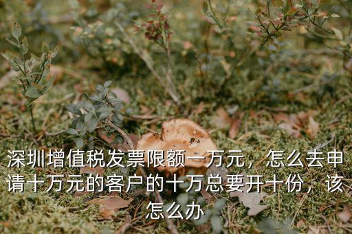 深圳企業(yè)稅票怎么買,深圳增值稅發(fā)票限額一萬(wàn)元