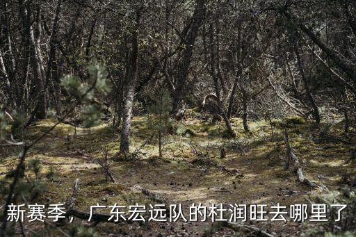 新賽季，廣東宏遠隊的杜潤旺去哪里了