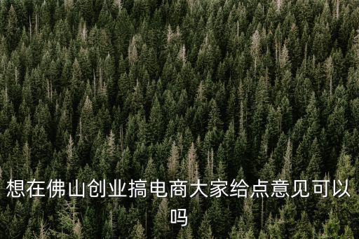 想在佛山創(chuàng)業(yè)搞電商大家給點(diǎn)意見可以嗎
