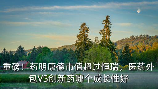 重磅！藥明康德市值超過恒瑞，醫(yī)藥外包VS創(chuàng)新藥哪個成長性好