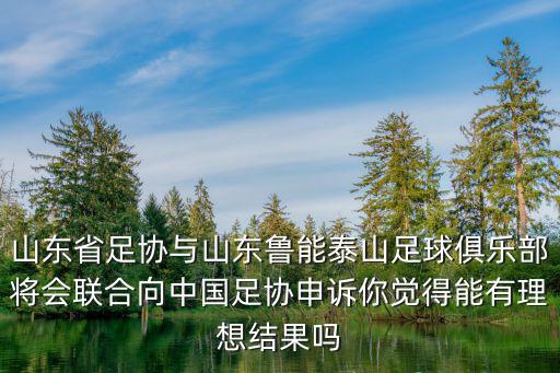 山東魯能足球俱樂(lè)部年薪有多少,那么俱樂(lè)部和足校能值多少錢(qián)