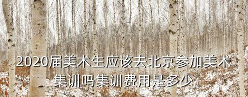 2020屆美術生應該去北京參加美術集訓嗎集訓費用是多少