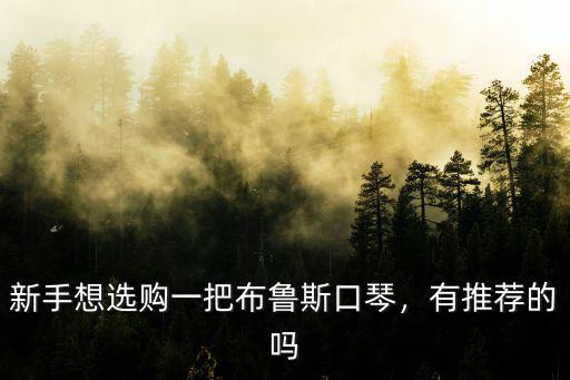 廣東好的布魯斯口琴多少錢一支,新手想選購一把布魯斯口琴