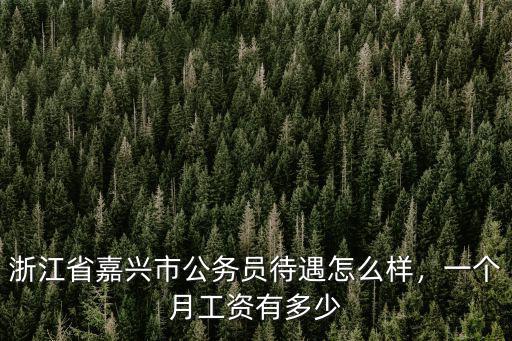 浙江省嘉興市公務員待遇怎么樣，一個月工資有多少