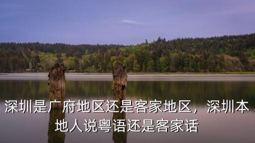 深圳人對福建人怎么樣,來了就是深圳人