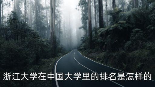 浙江大學廣東排名多少分,南京大學和浙江大學哪個更好