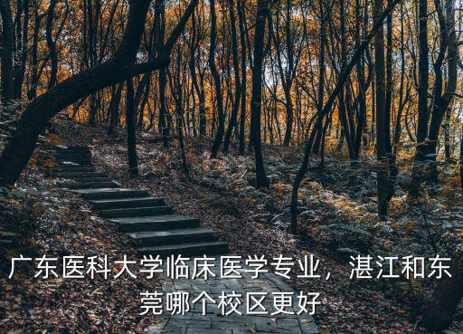 德慶到東莞廣東醫科大學有多少遠,廣東海洋大學