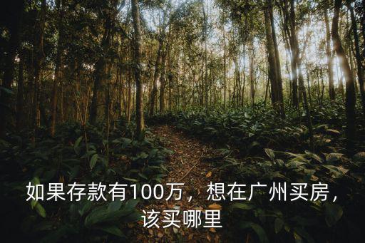 如果存款有100萬，想在廣州買房，該買哪里