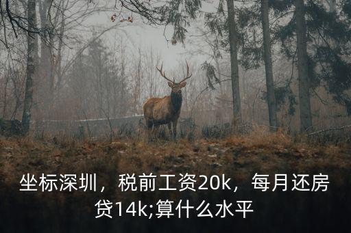 坐標深圳，稅前工資20k，每月還房貸14k;算什么水平