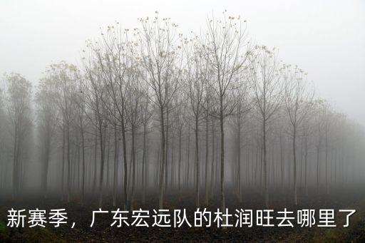 新賽季，廣東宏遠(yuǎn)隊的杜潤旺去哪里了