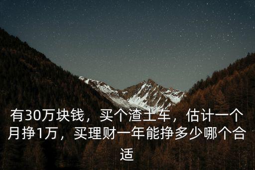 有30萬塊錢，買個渣土車，估計一個月掙1萬，買理財一年能掙多少哪個合適