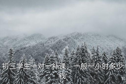 初三學生一對一補課，一般一小時多少錢