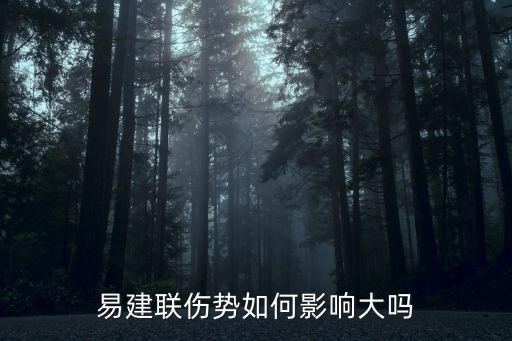 易建聯傷勢如何影響大嗎
