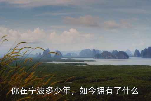 你在寧波多少年，如今擁有了什么