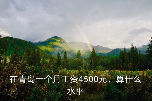 在青島一個月工資4500元，算什么水平