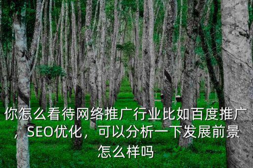 你怎么看待網(wǎng)絡推廣行業(yè)比如百度推廣，SEO優(yōu)化，可以分析一下發(fā)展前景怎么樣嗎