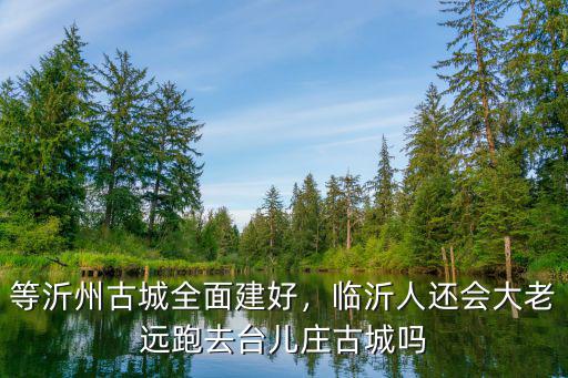 臨沂沂州古城東西多少米,為什么臨沂沂州古城能這么火